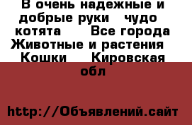 В очень надежные и добрые руки - чудо - котята!!! - Все города Животные и растения » Кошки   . Кировская обл.